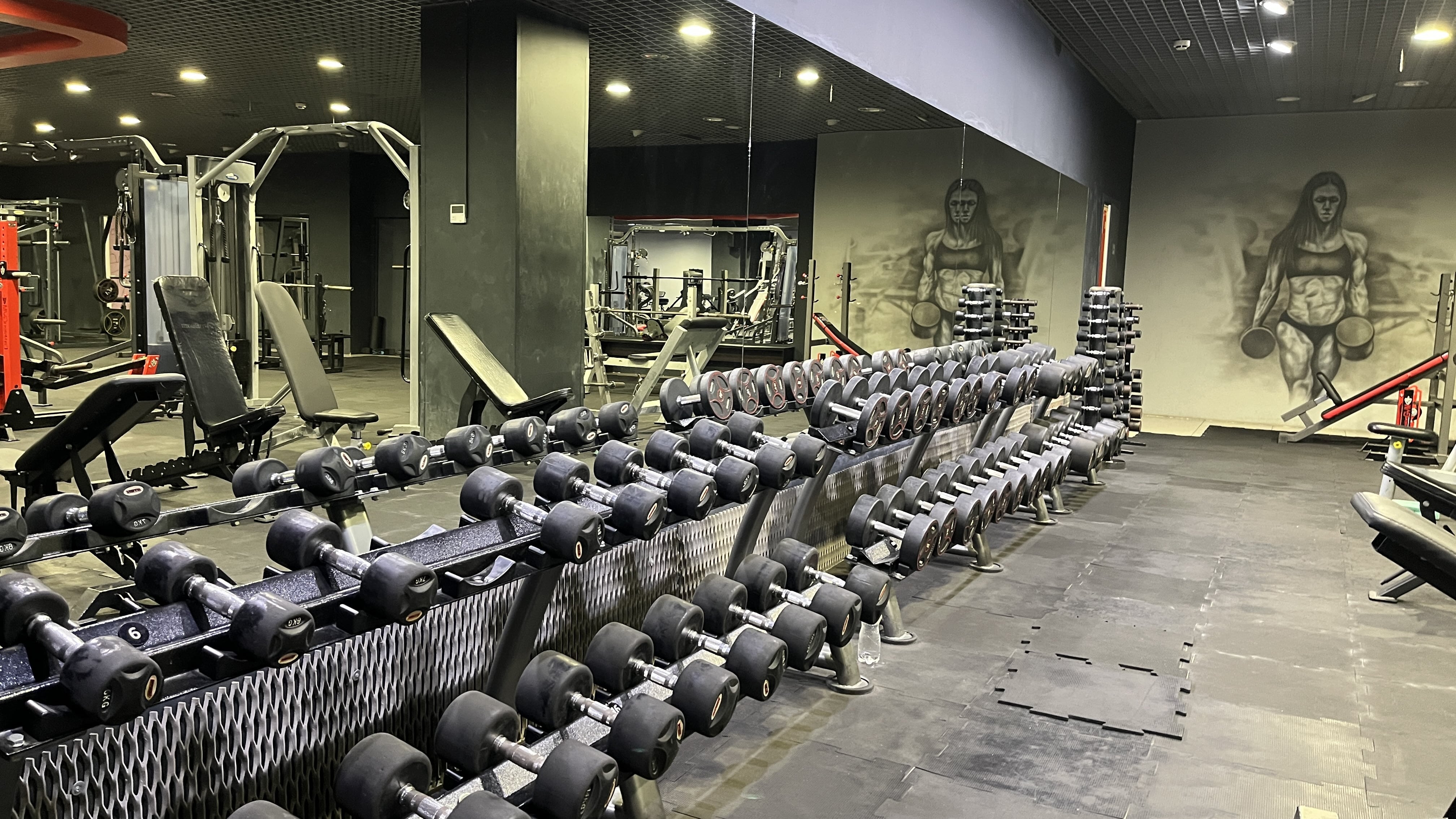 Галерея Arena Gym
