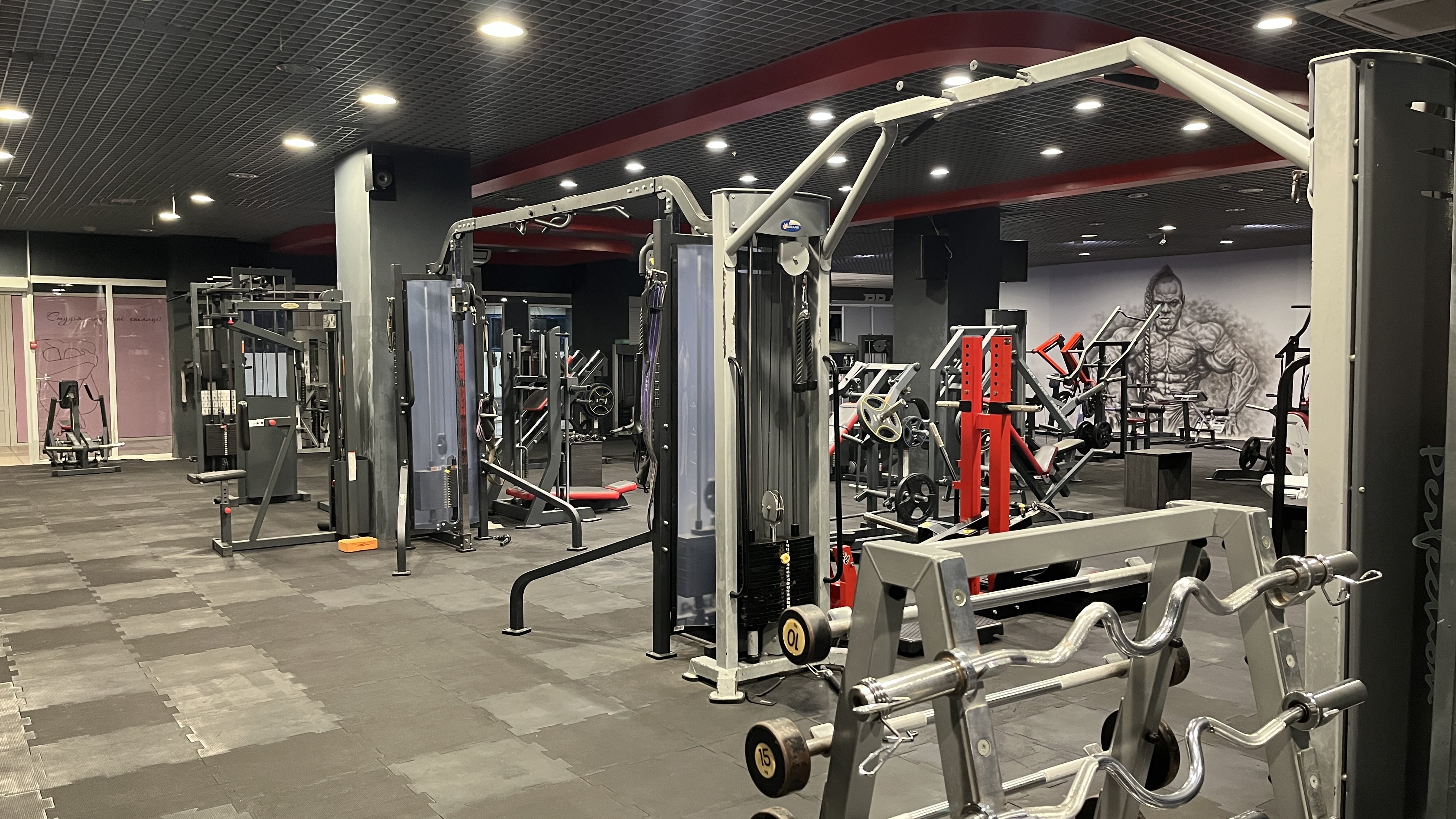 Галерея Arena Gym